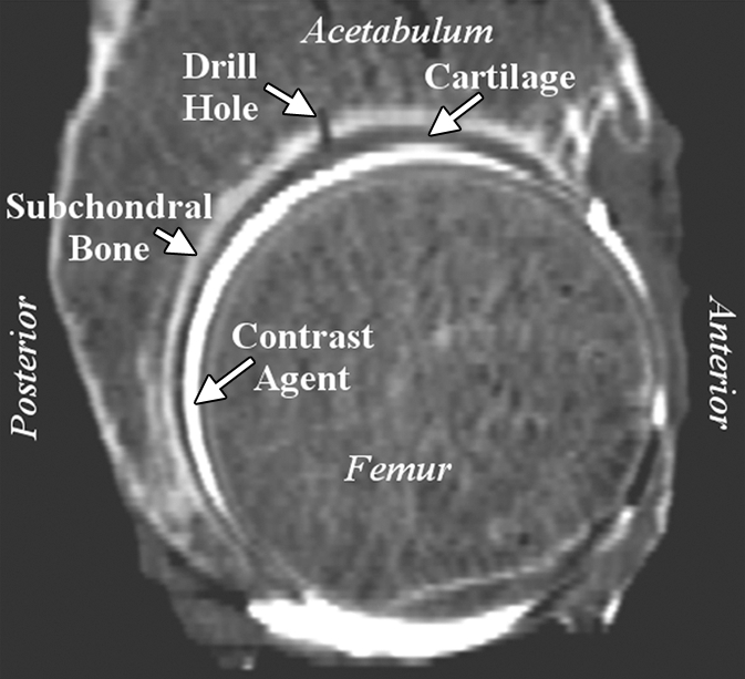 Figure 3a: