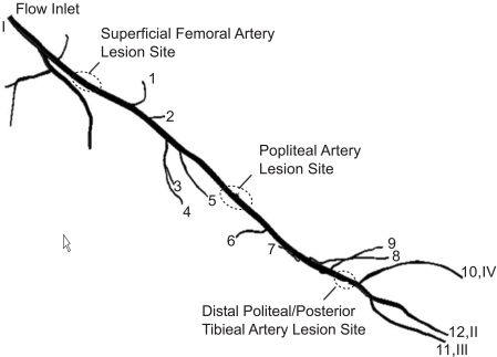 Fig. (17)