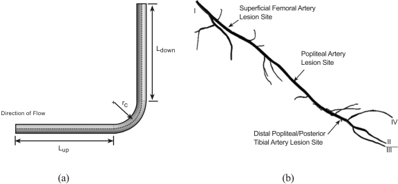 Fig. (5)