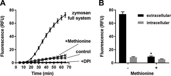 Figure 5.