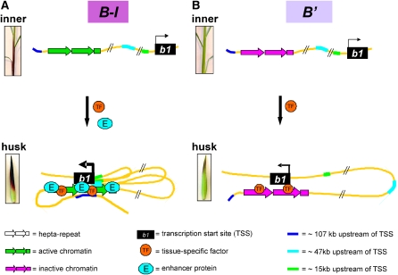 Figure 5.