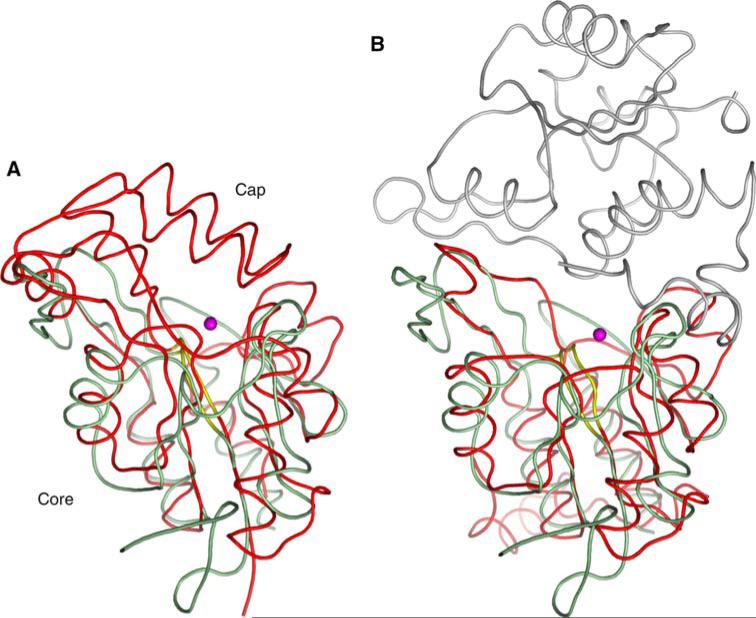 Fig. 8