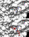 Fig. 16