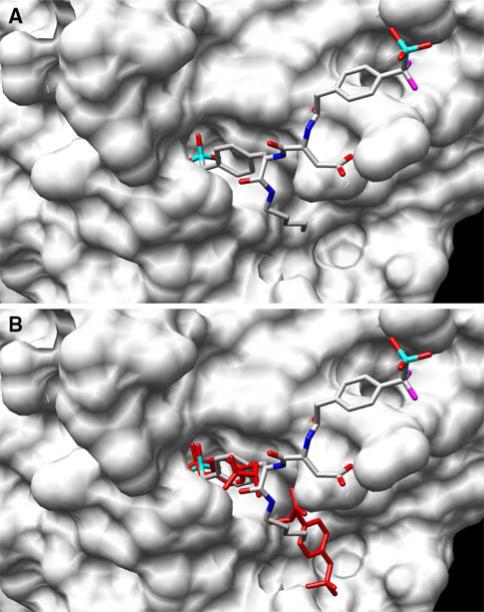 Fig. 16