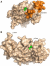 Fig. 19