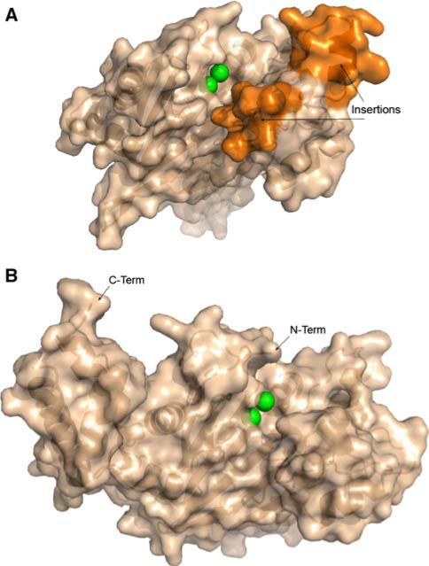 Fig. 19