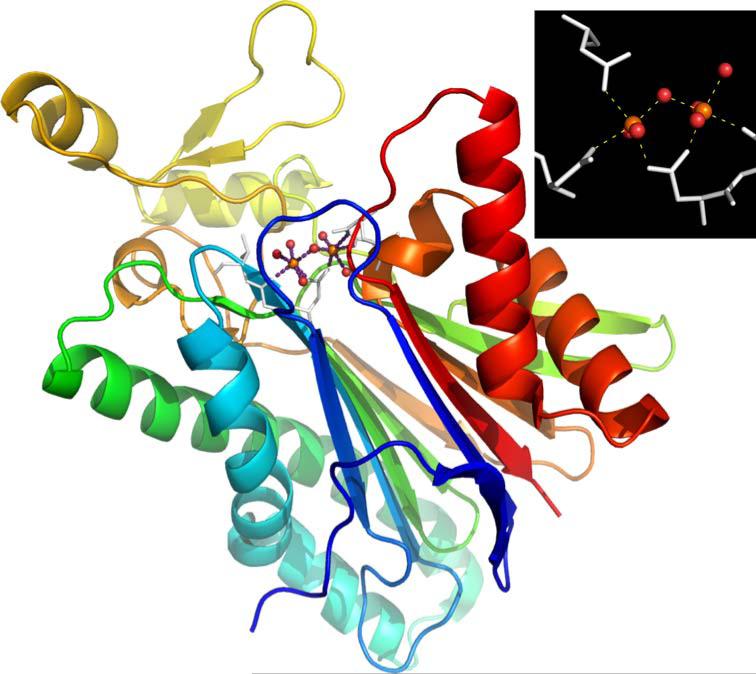 Fig. 17