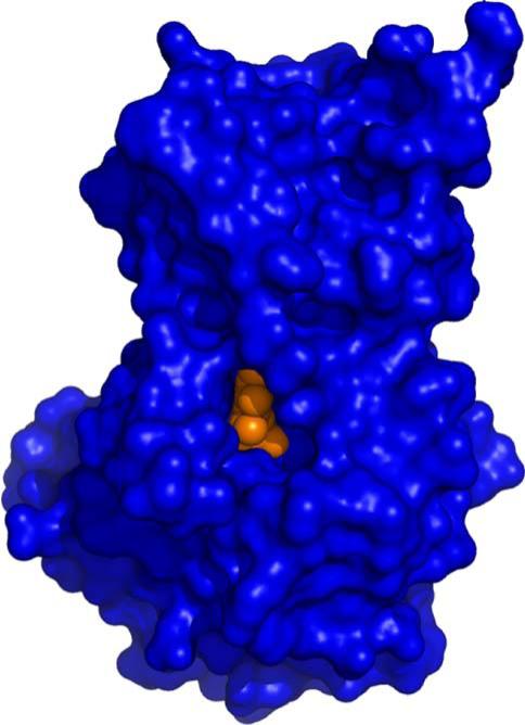 Fig. 13