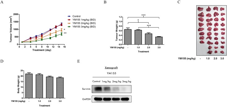 Fig 8