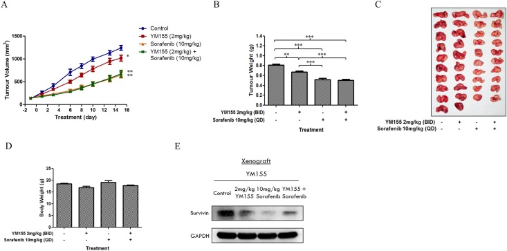 Fig 9