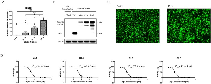 Fig 4