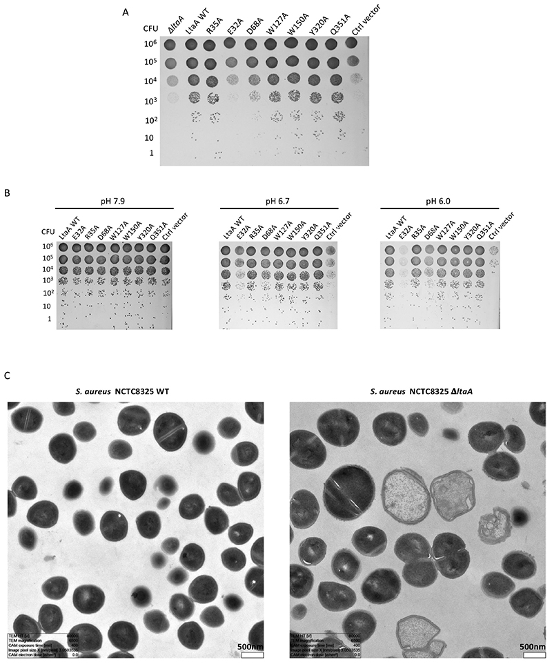 Extended Data Fig. 9