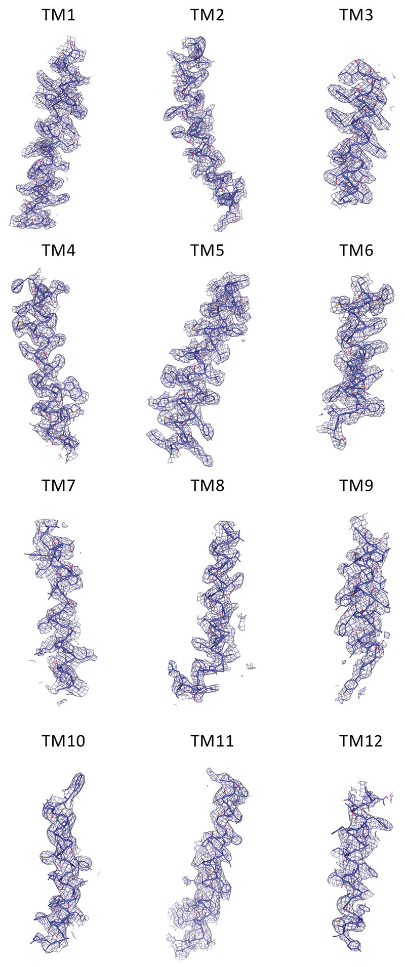 Extended Data Fig. 3