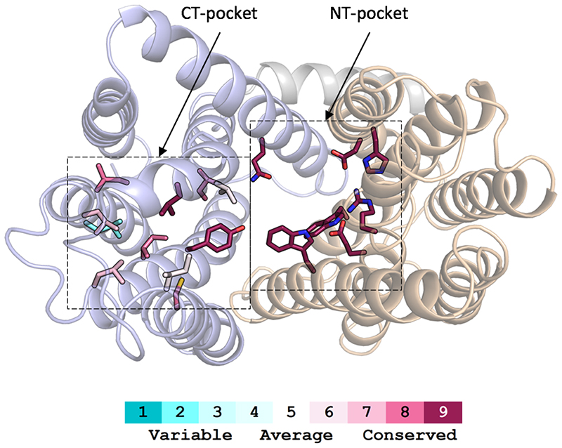 Extended Data Fig. 6