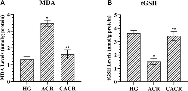 FIGURE 1