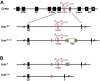 Extended Data Fig. 8