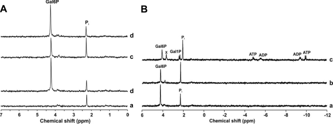 FIG. 5.