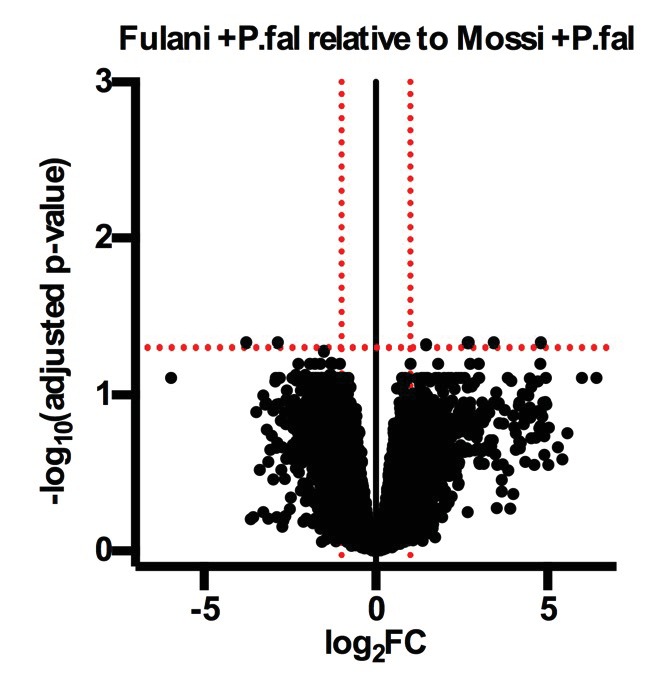 Figure 3—figure supplement 1.