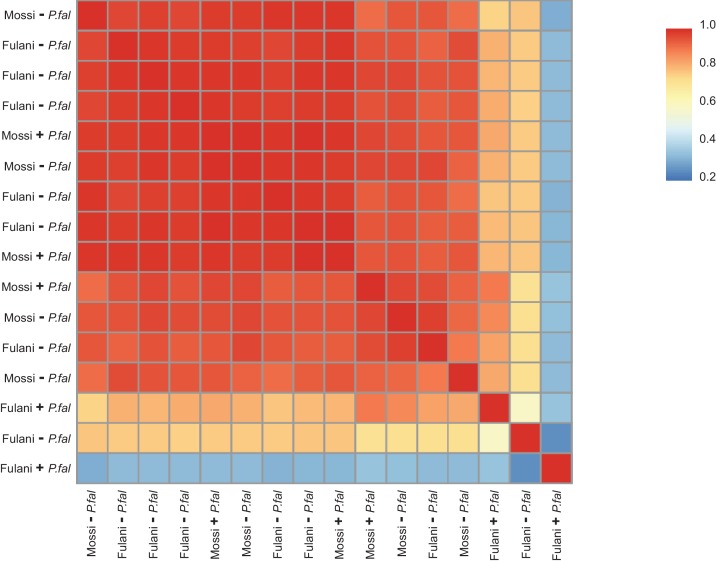 Figure 2—figure supplement 1.