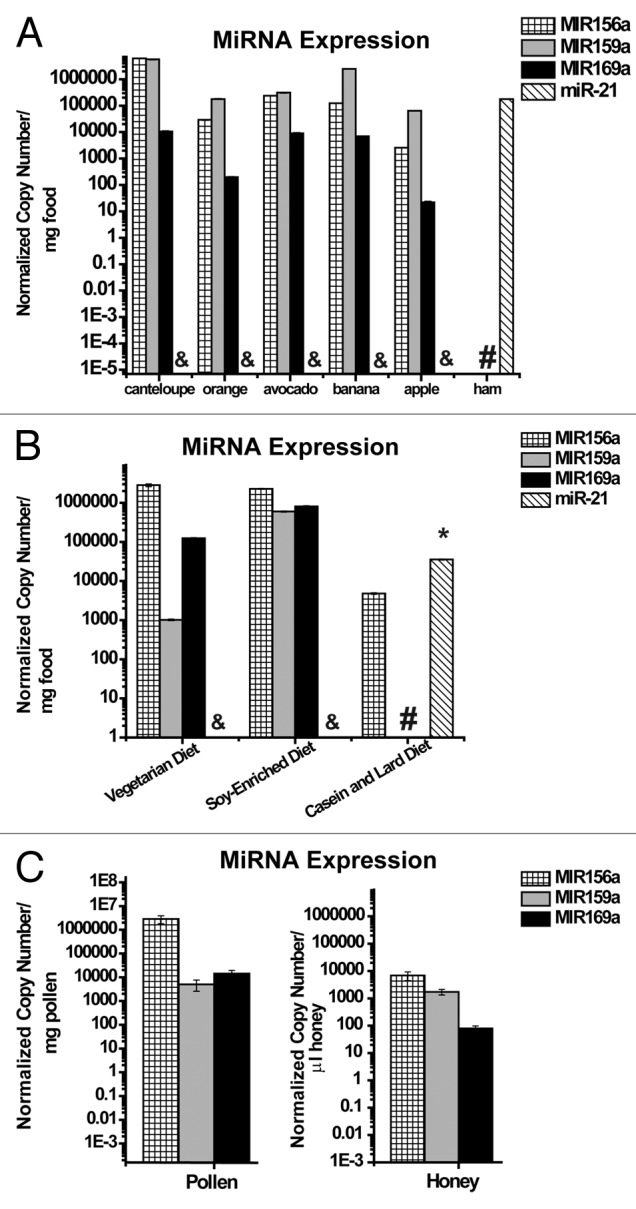 graphic file with name rna-10-1107-g1.jpg