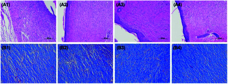 Fig. 10