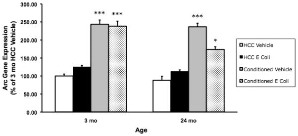 Fig. 2B