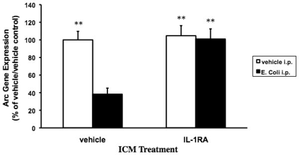 Fig. 3B