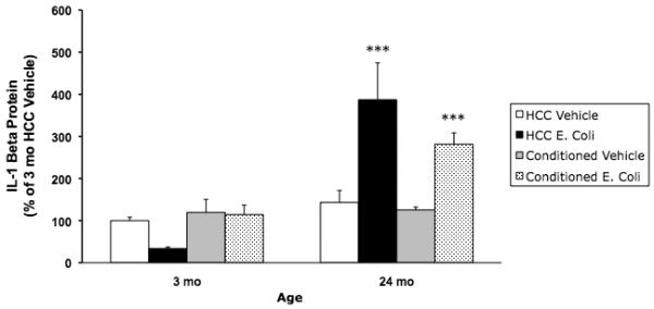 Fig. 2A