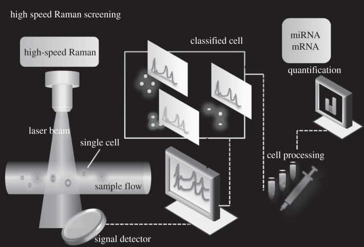 Figure 6.