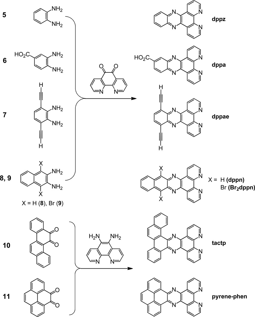 Scheme 2