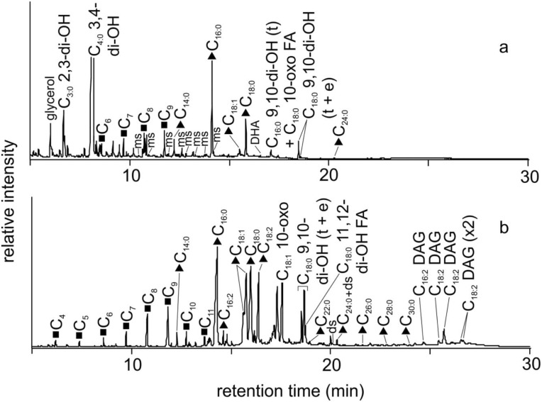 Fig 12