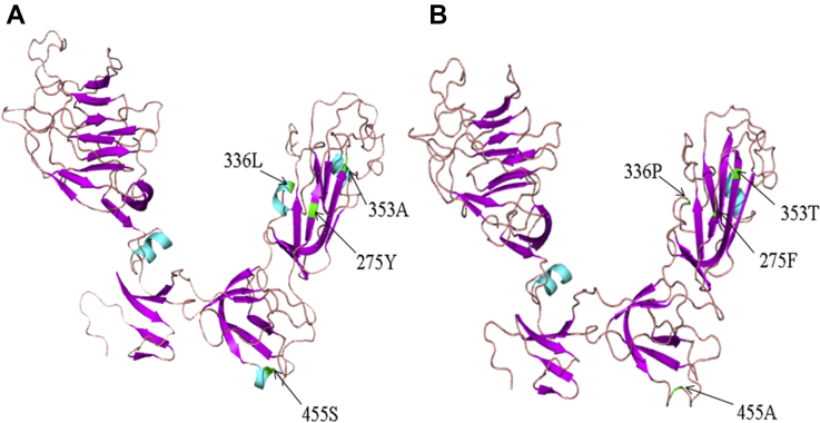 Figure 4