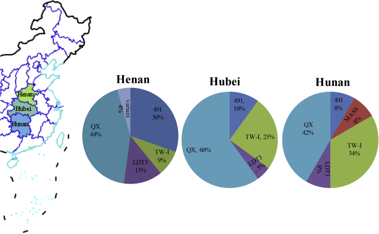 Figure 2