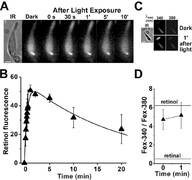 Figure 6.