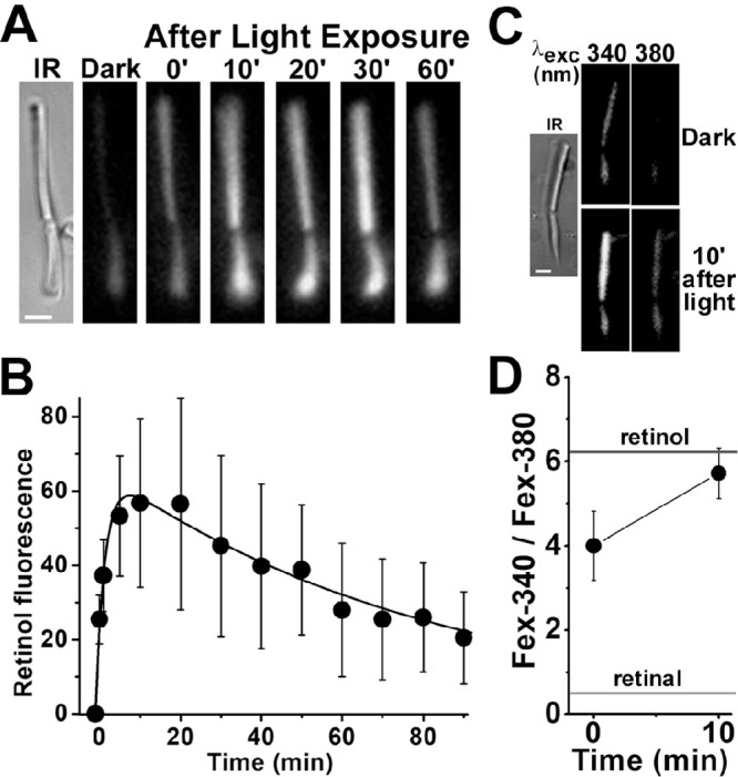 Figure 3.