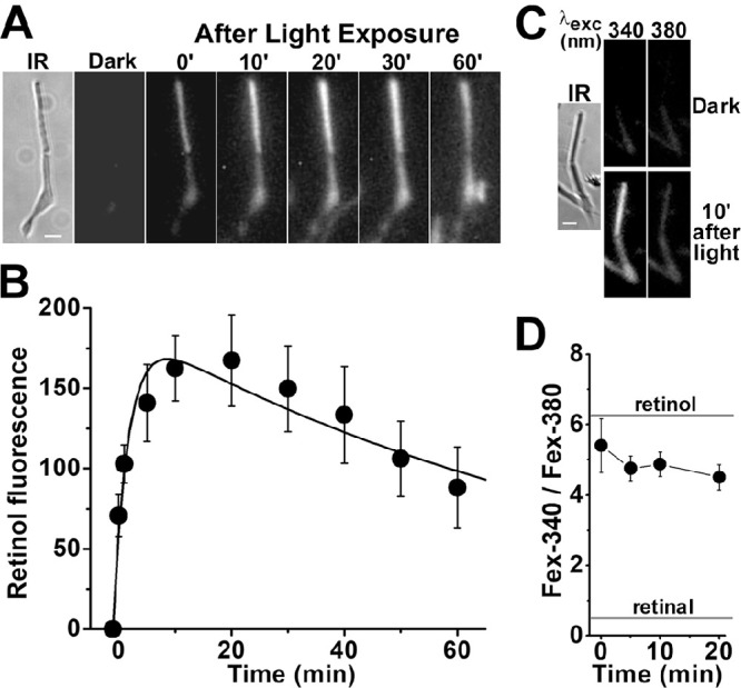 Figure 4.