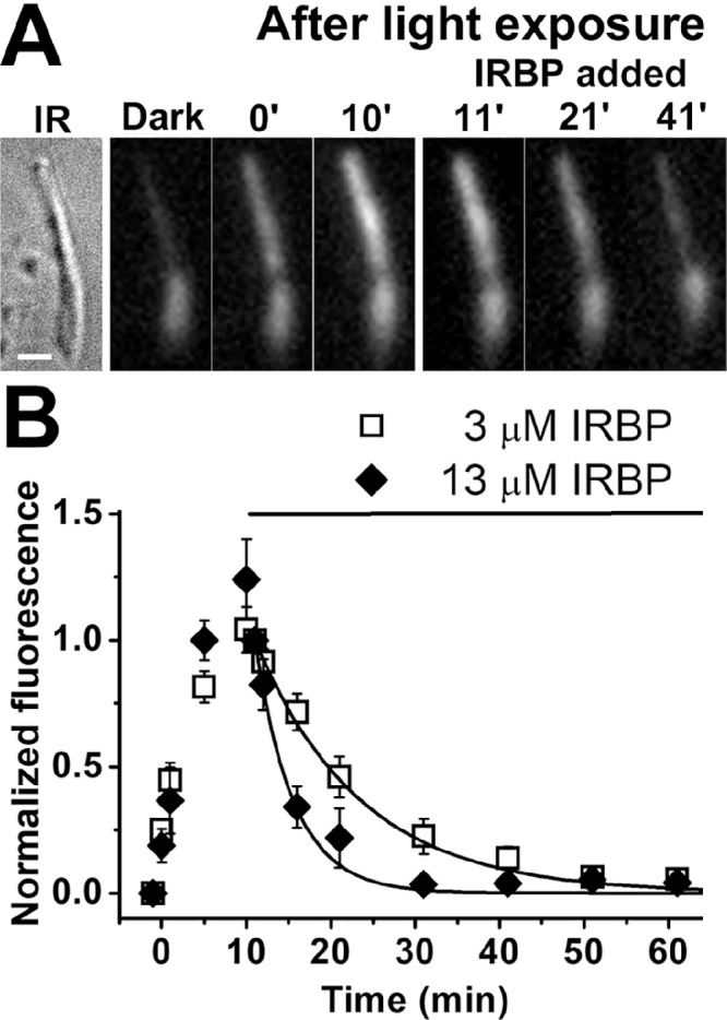 Figure 5.