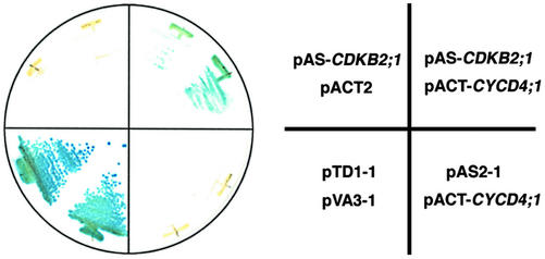 Figure 1.