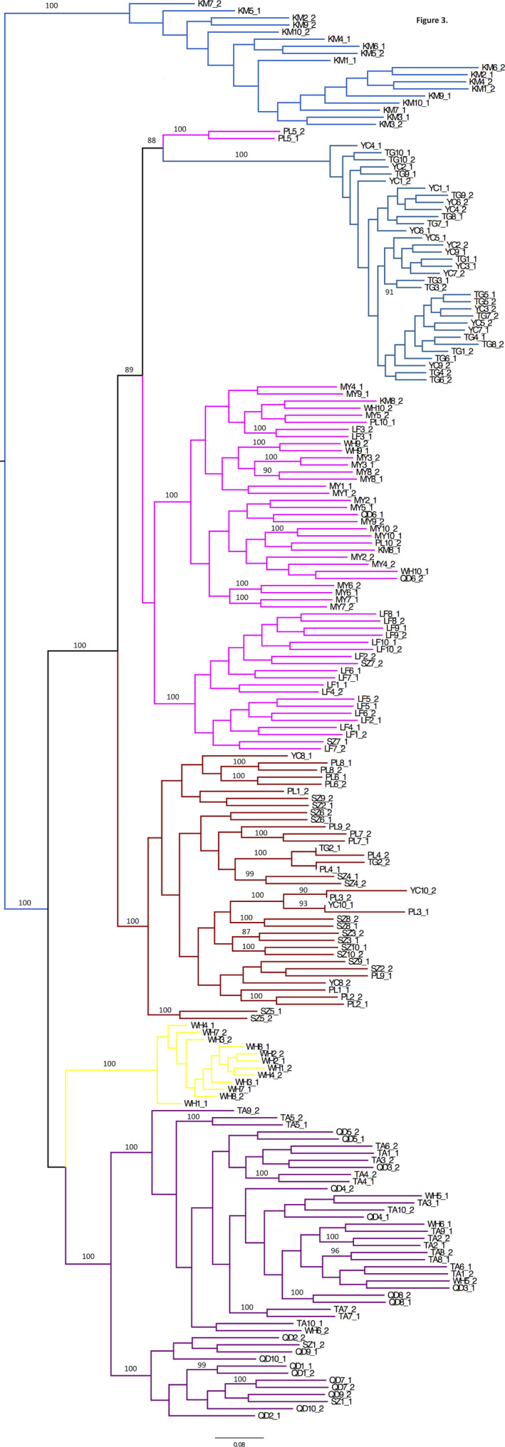 FIGURE 3