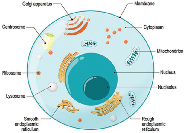 Figure 1.