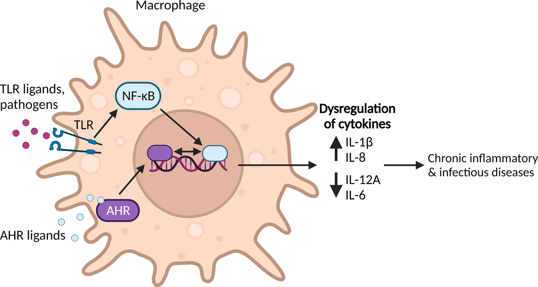 Fig. 3.