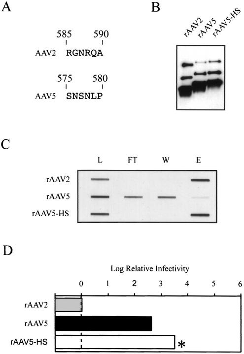 FIG. 7.