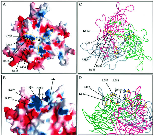 FIG. 8.