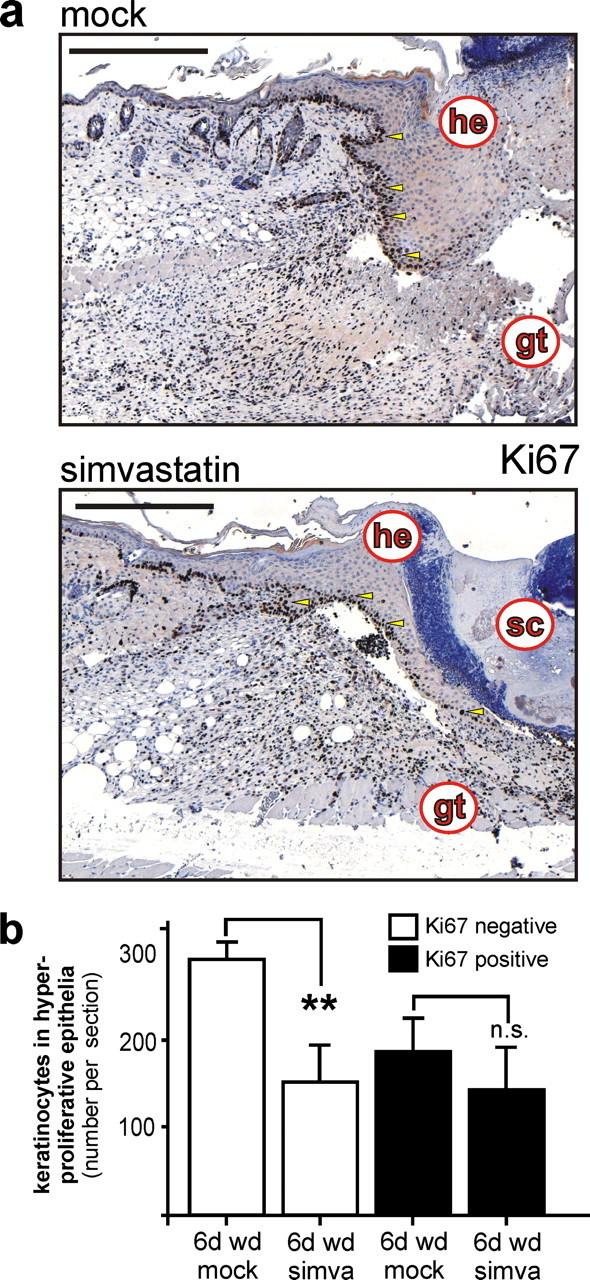 FIGURE 10.