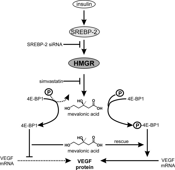 FIGURE 12.