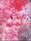Figure 15