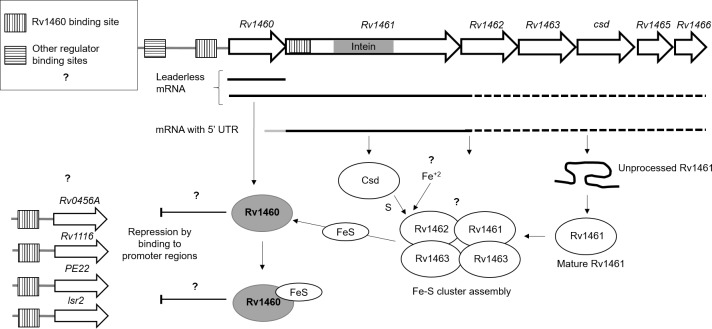 Fig 8