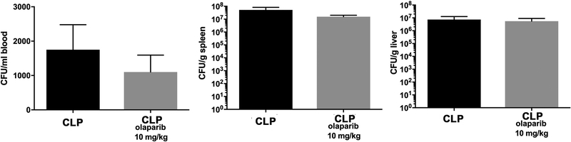 Figure 10.