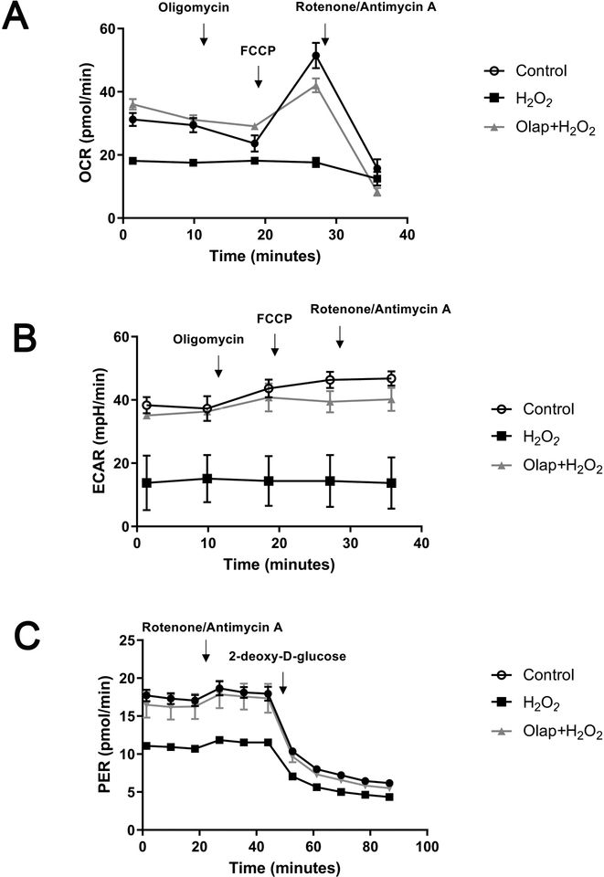 Figure 26.