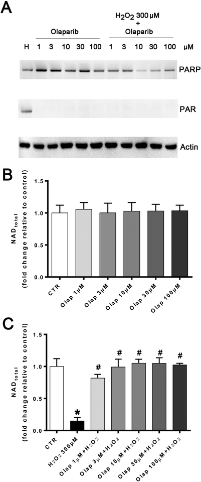 Figure 24.